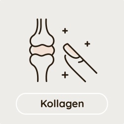 Kollagen